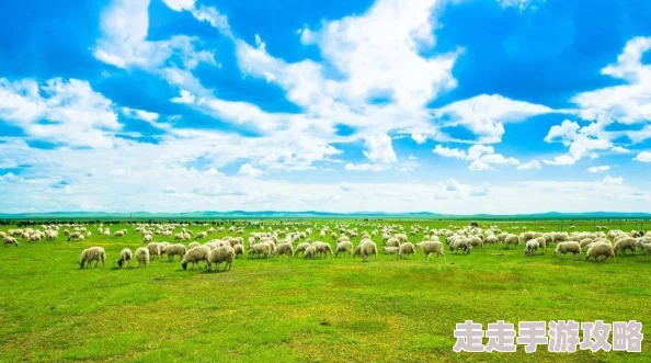 探索青草青草久热精品视频99的独特魅力：让我们一起领略自然与激情交织的视听盛宴