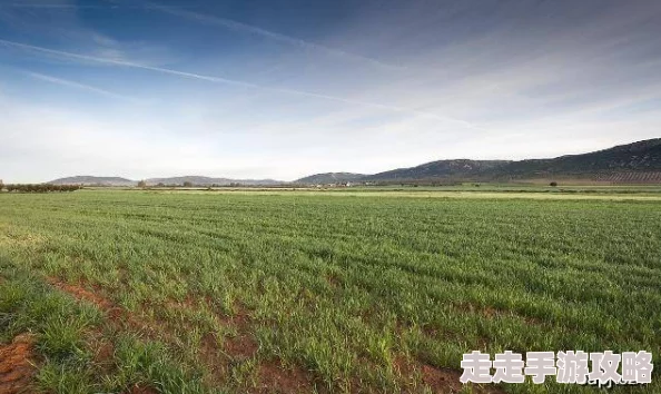探索青草青草久热精品视频99的独特魅力：让我们一起领略自然与激情交织的视听盛宴