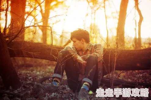 欧美乱子YEIIOWVIDEO，真是让人感到震惊，这种内容居然能被传播，太不可思议了！