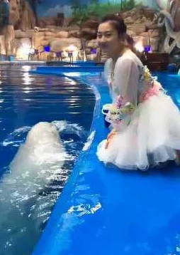 白丝美女喷水，真是让人眼前一亮，画面太美了，不敢直视！