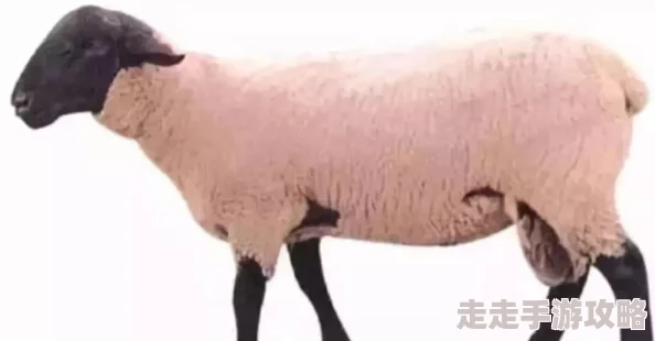 胡桃和丘丘人繁殖后代，真是让人意想不到的组合，期待他们的故事发展！