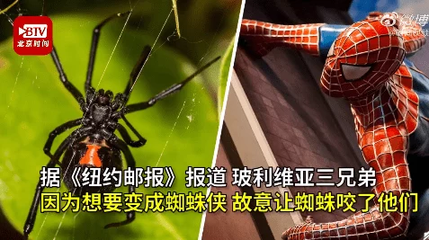 《时间之钥》花吻蜘蛛通关全解析：网友热议如何轻松战胜终极Boss策略