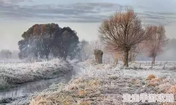 欧美一级黄色毛片激发创作灵感，提升艺术鉴赏能力