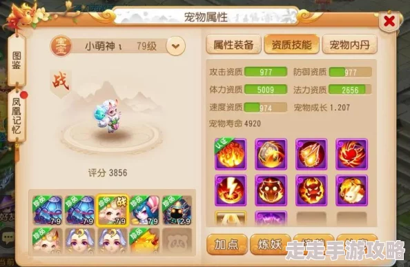 DNF玩家热议：哪些项链装备能有效提升体力属性，网友评价精选