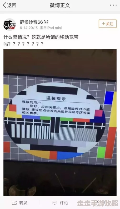 手机在线毛片网友评价质量参差不齐，部分用户表示画质较差但内容丰富