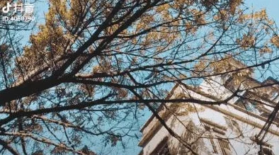 freefr性欧美69hd 网友推荐这部作品画面精美情节紧凑让人欲罢不能非常适合喜欢此类题材的观众观看