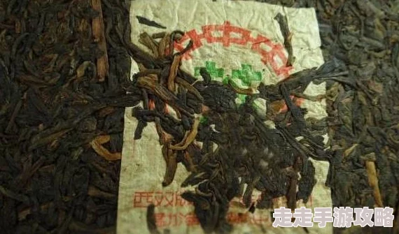 亚洲一区二区三区久久精品网友推荐这部作品剧情紧凑角色鲜明让人欲罢不能值得一看不容错过的精彩内容