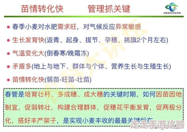 白洁孙倩东子是网络文学中常见的角色名，代表了特定类型的小说人物形象