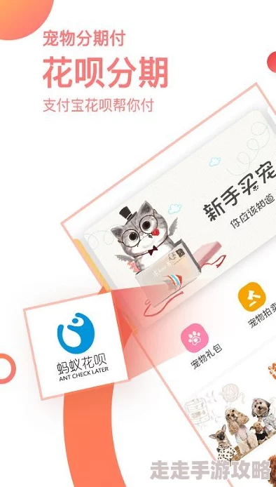 免费看黄app网站观看成都街头现“共享宠物”租赁服务火爆