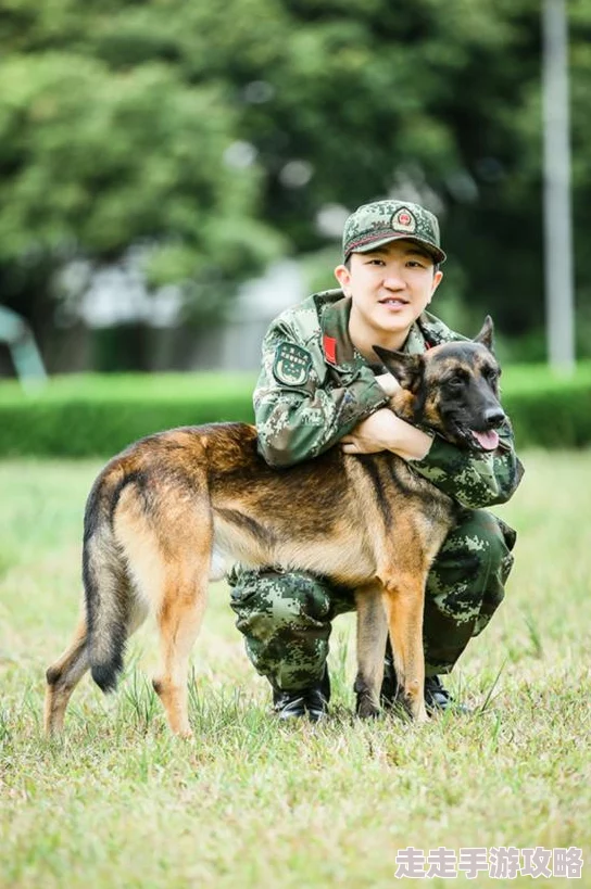 张警犬9分10秒头撞玻璃夸克这只警犬在训练中表现出色，勇敢无畏地完成任务