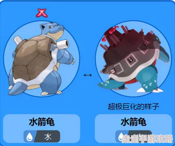 爆料！宝可梦大集结：水箭龟顶尖持有物与道具搭配推荐