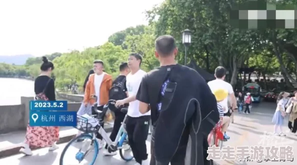 刀剑神域黑衣剑士：掉落倾向全解析与高效攻略推荐爆料