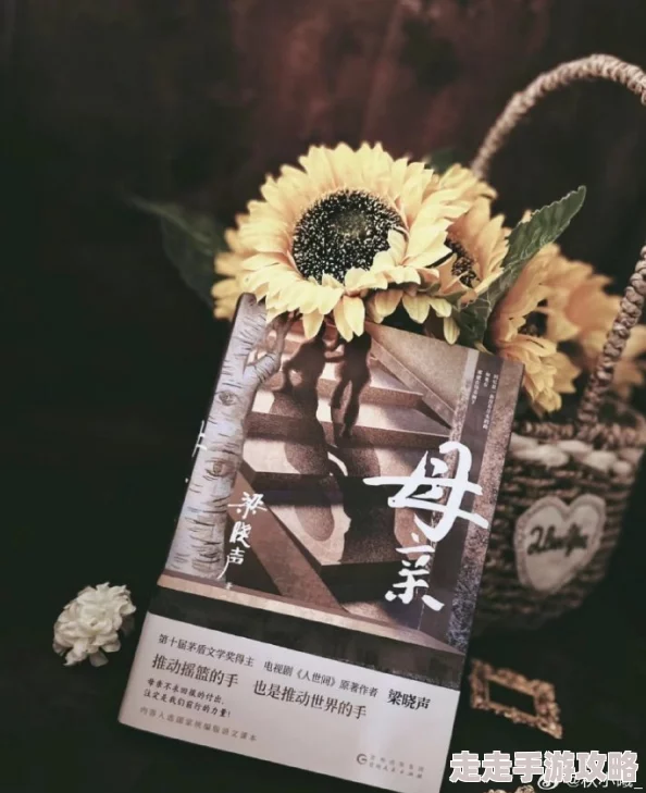 母亲与我的小说即将出版敬请期待
